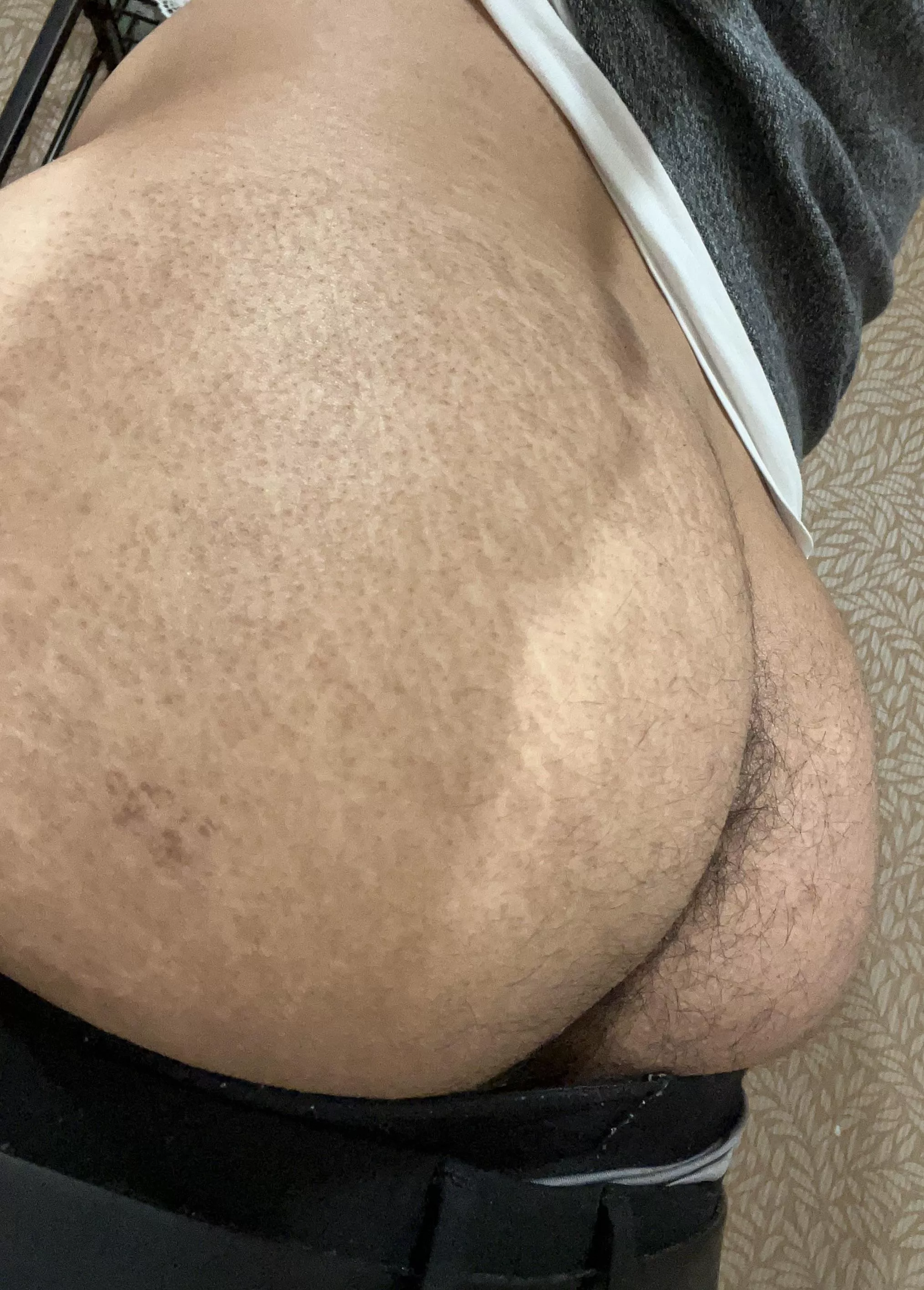 Who wants to slap it? posted by TheFlyingSponge