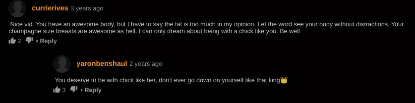 Wholesome PHub Commenter posted by Agitated-Fee-6672