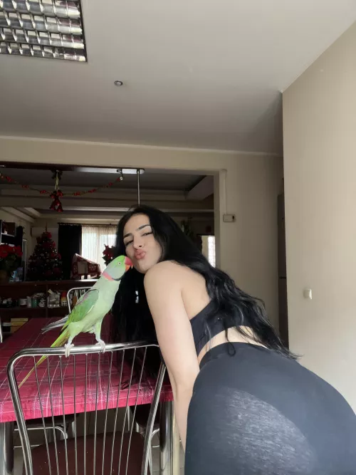 would you clap my cheeks by Ivanadreams