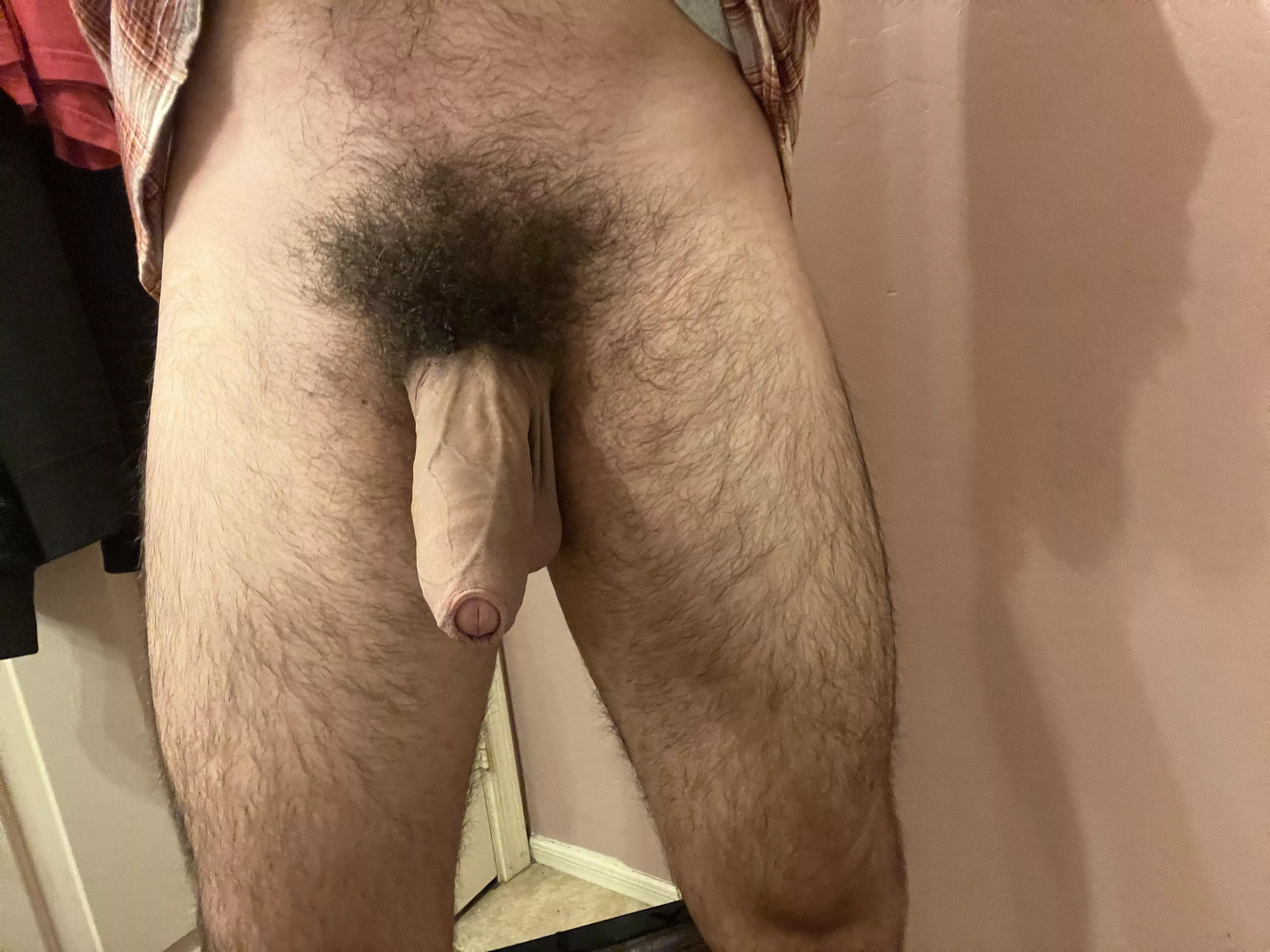 You don’t mind my hairy uncut penis do you? posted by CimiPollux