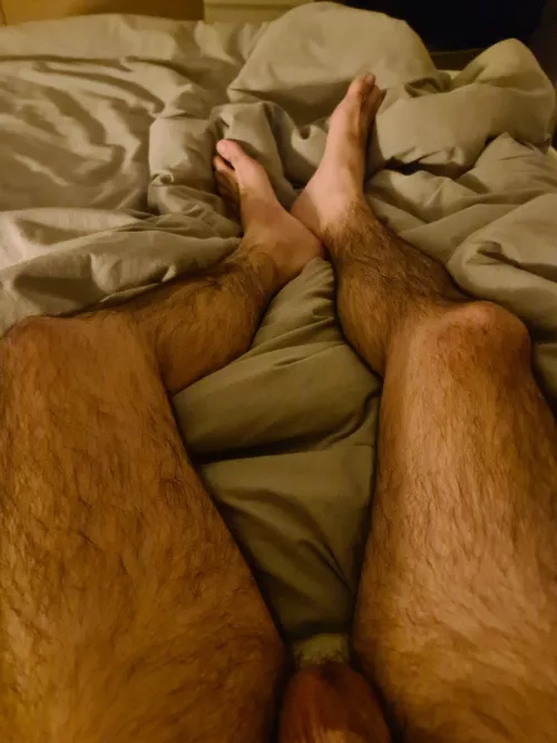 32M. DM me if you like hairy. by random_rays