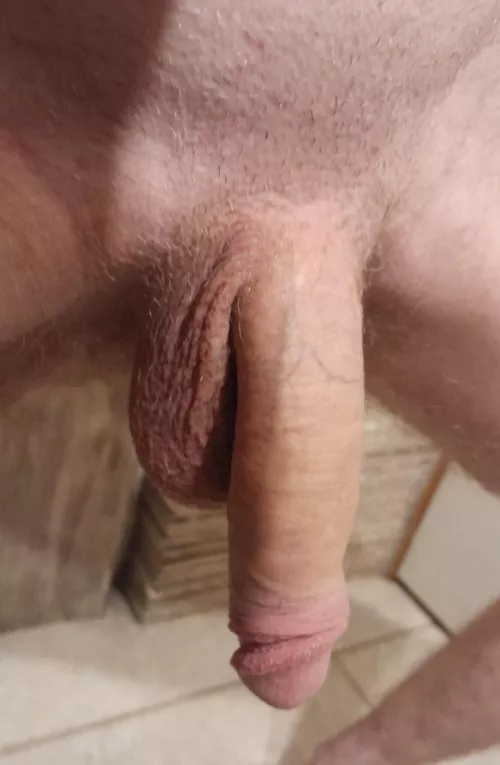 anyone like hung guys🍆 dms open by Totally_Not_Levi