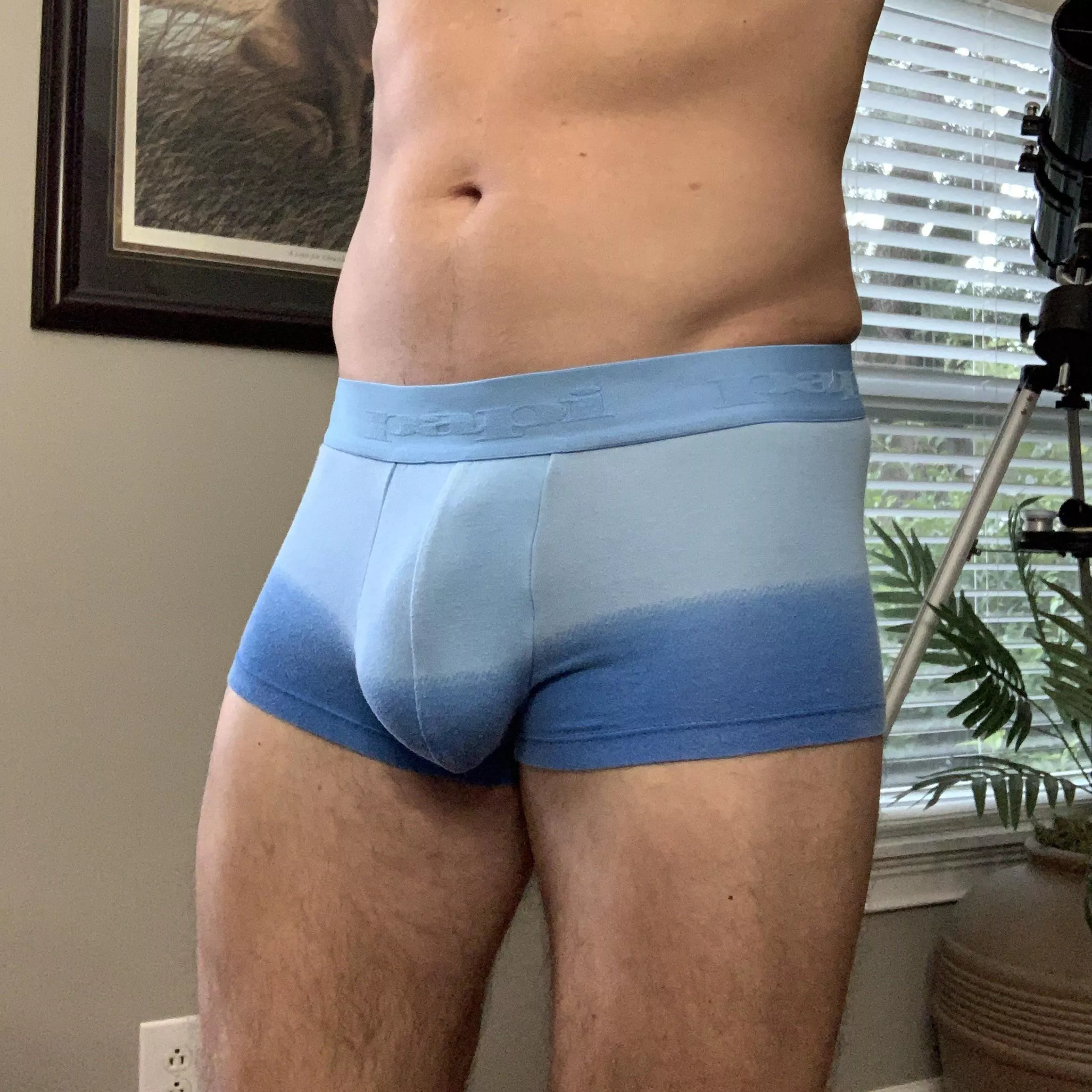 Boxer brief and trunks kinda guy. posted by DLgymguy