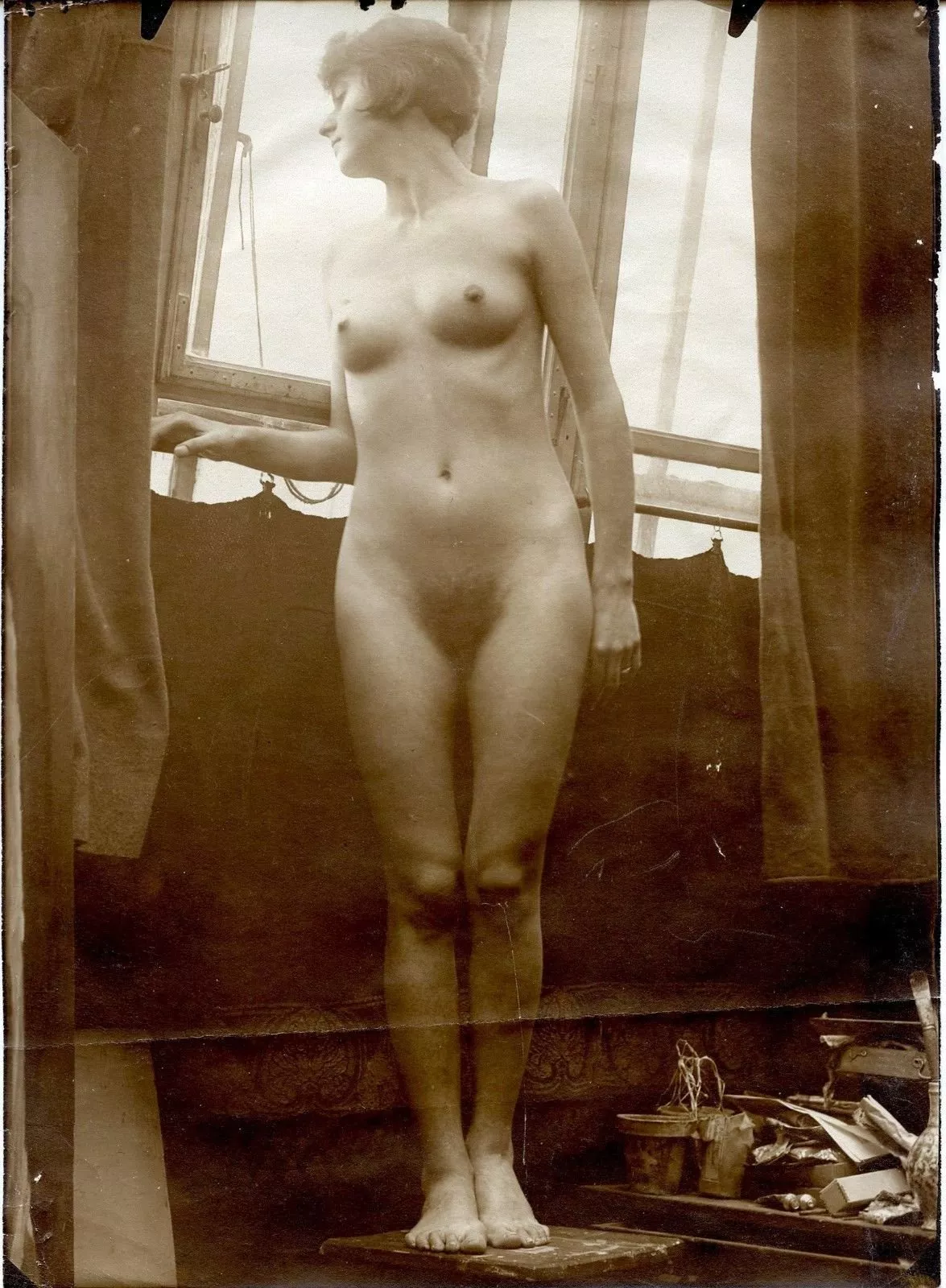 Bush posted by Imaginary-Ebb1932