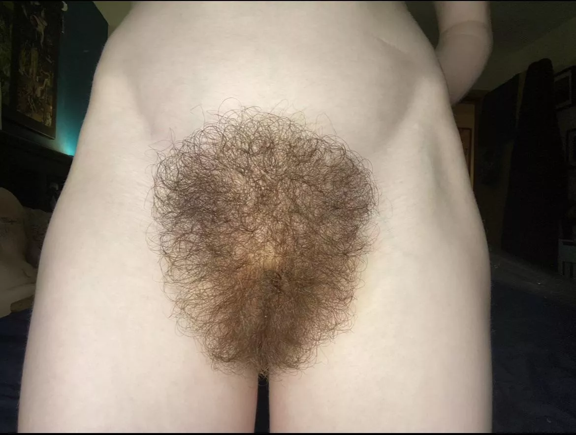 Do you enjoy looking at my morning fluff? posted by Many-Aioli688