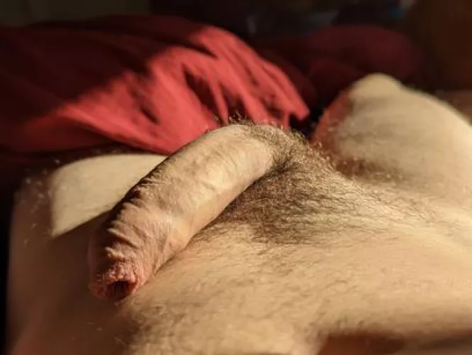 Early morning light by HardOnTheBench