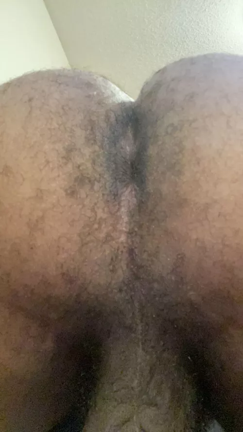 Furry by empathiccompassion