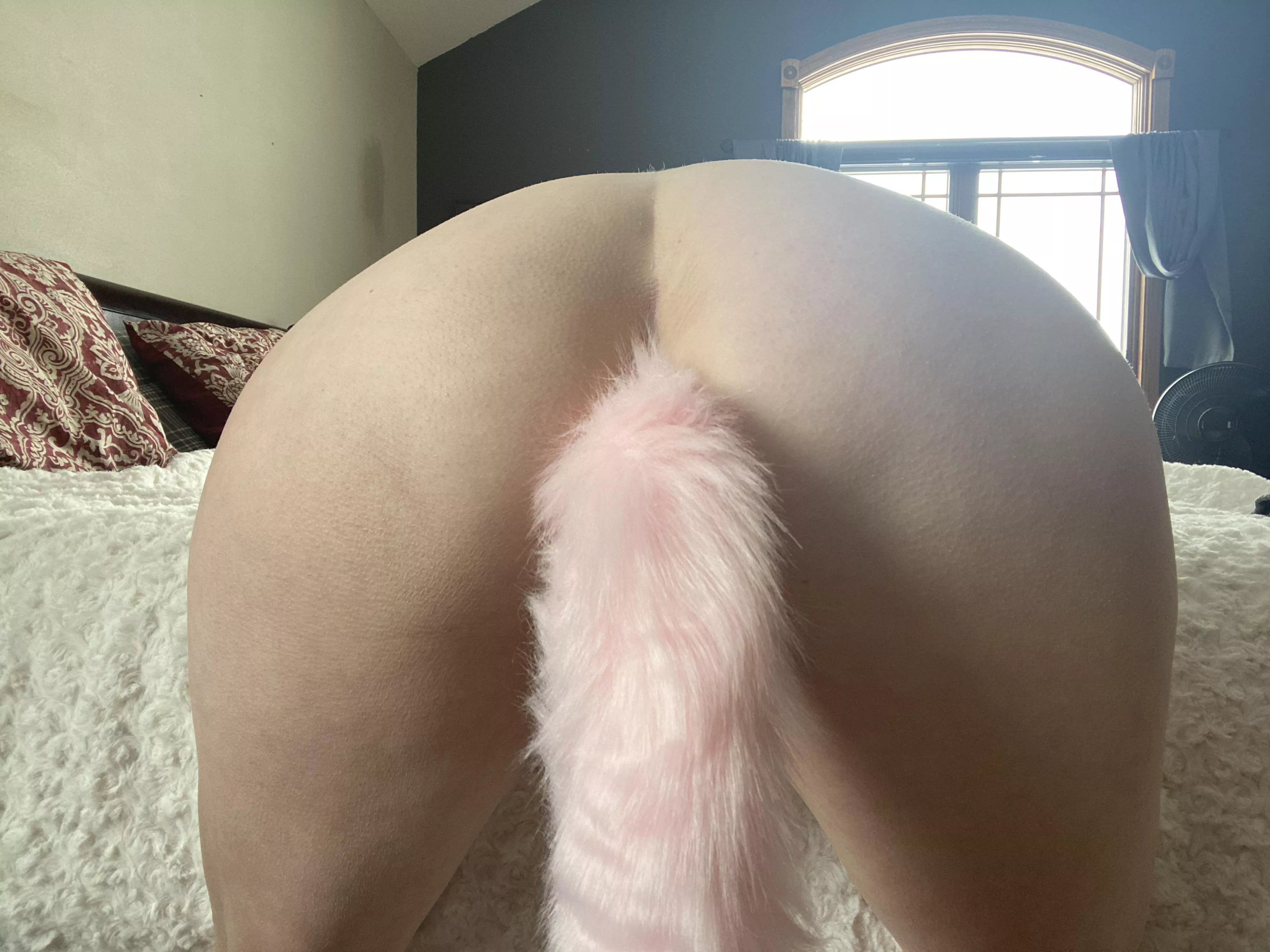 Give it a tug posted by SwedishMilf401