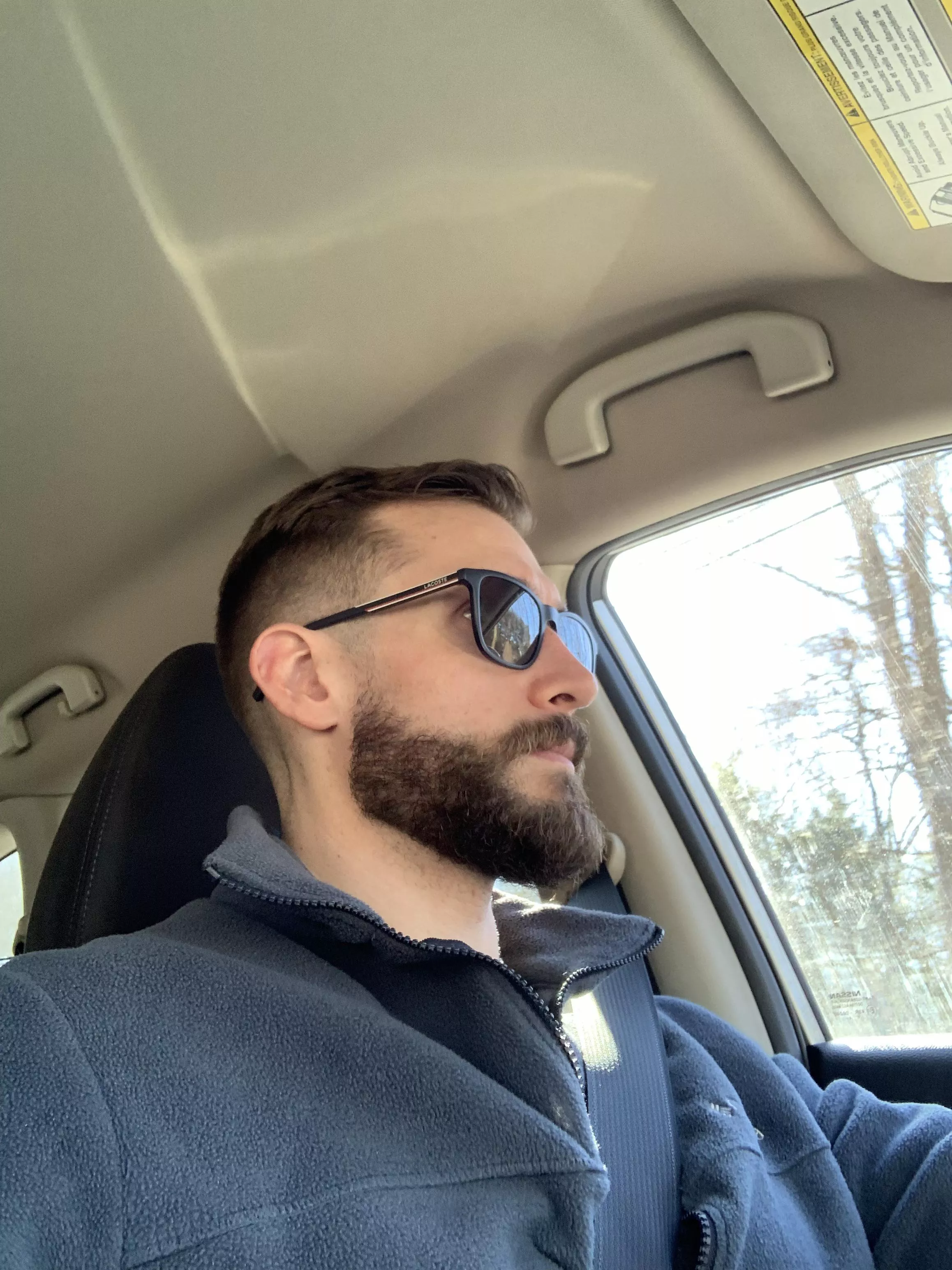 Haircut and beard trim posted by collect3825