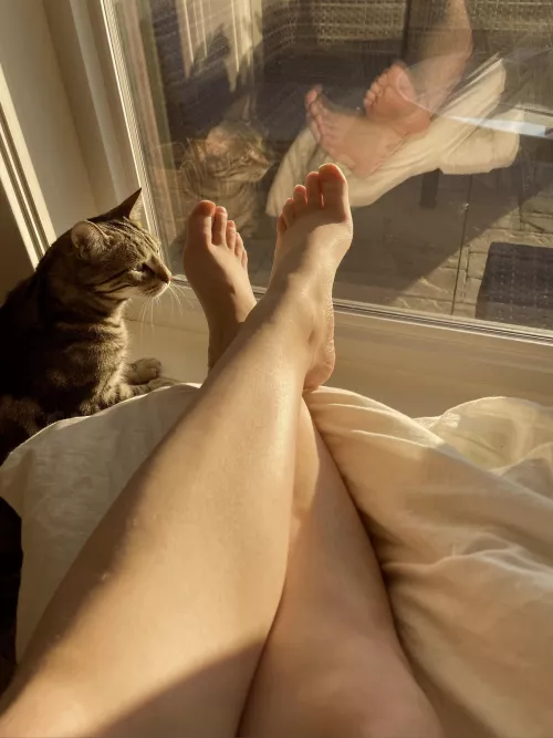 Is there anything better than a Saturday morning? 💛 by CinderellasSlippers3