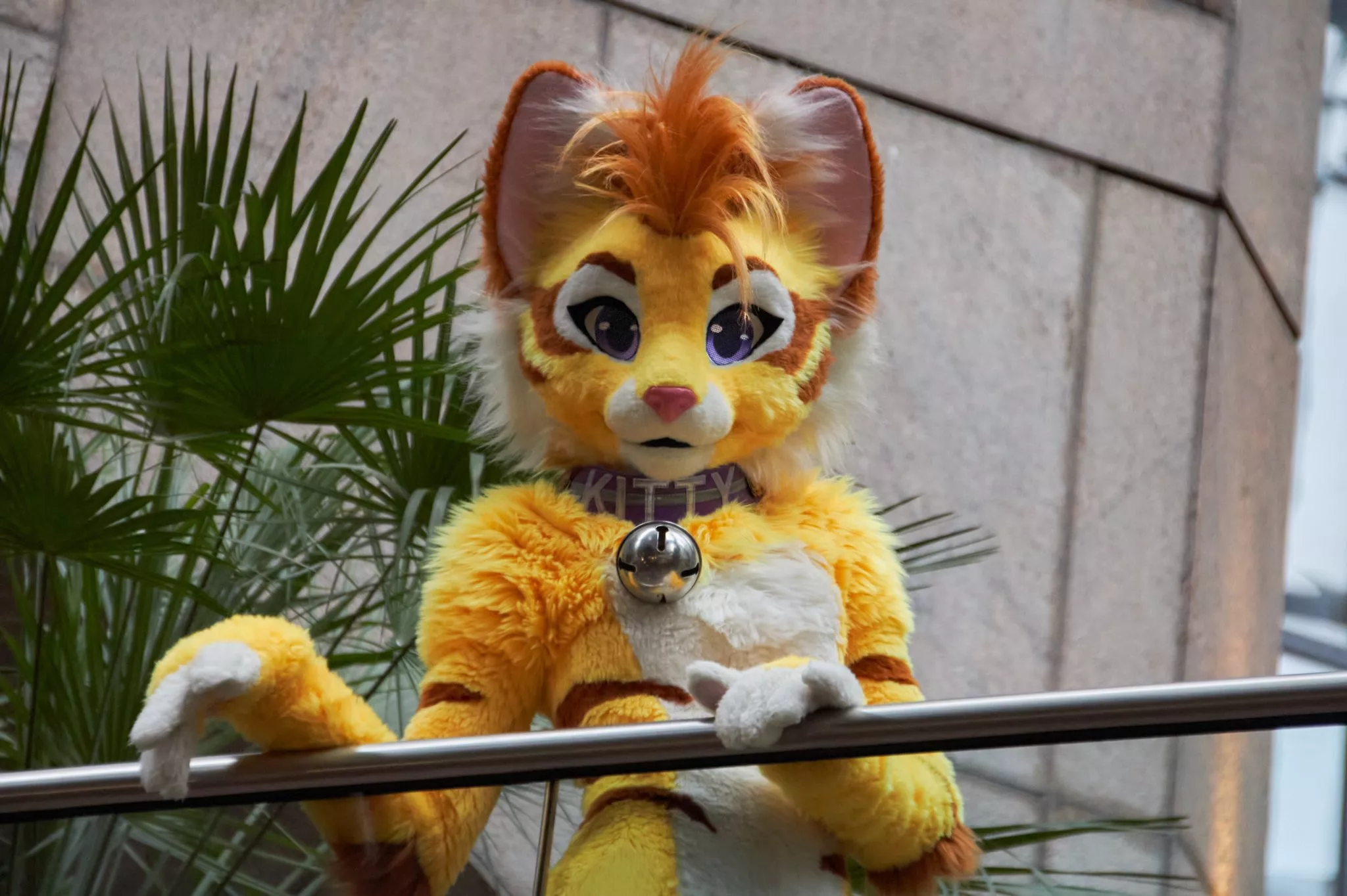 Kitty D says you're cute! (@KittyD_uk on Twitter) posted by Dragoniel