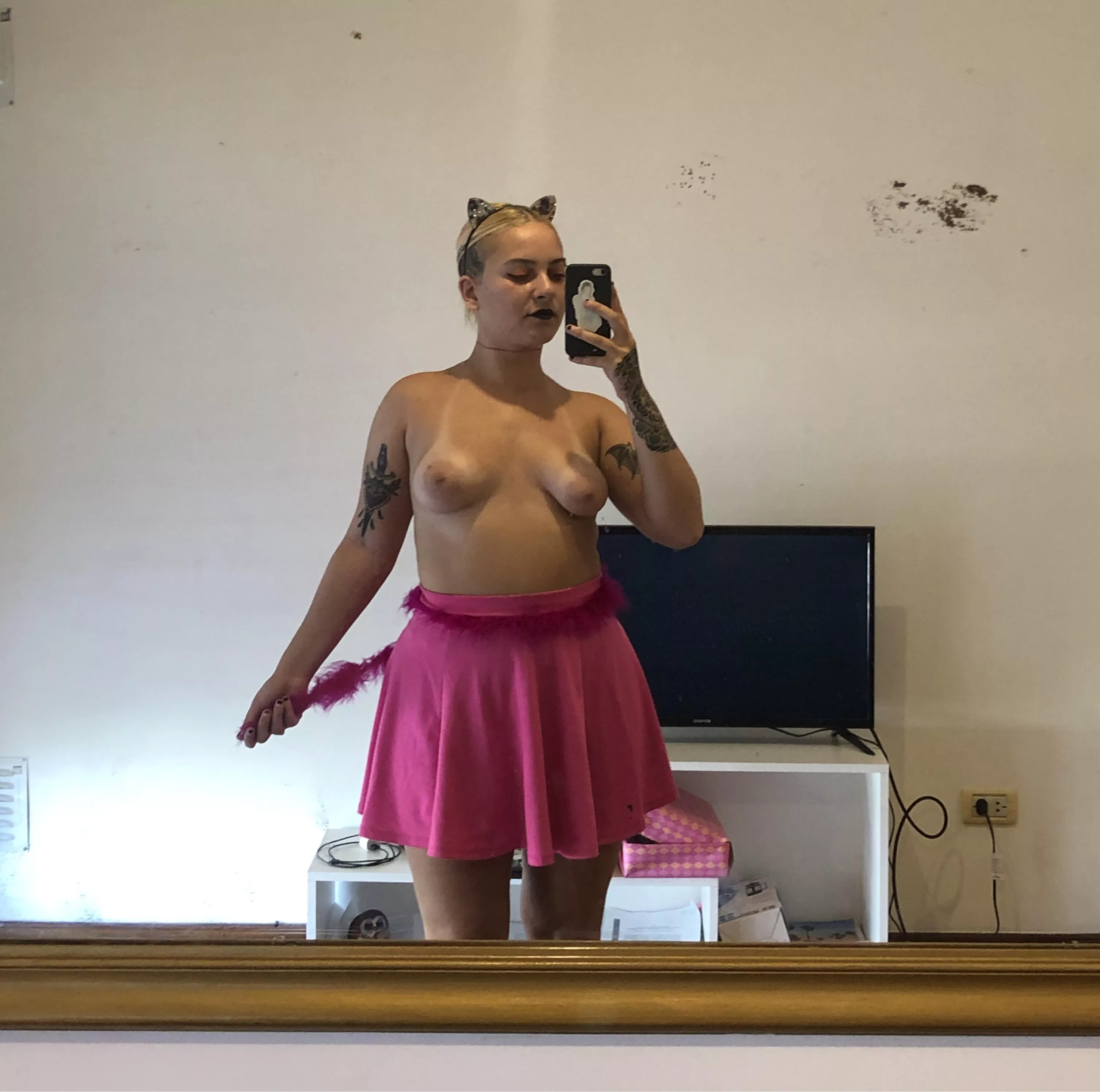 mish meow 😼 posted by fantasynella_