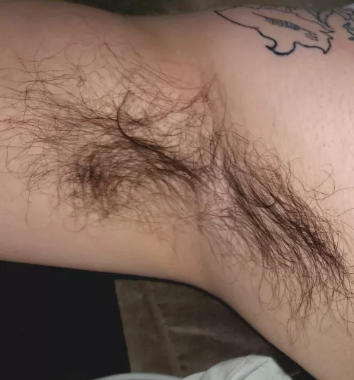 need a tongue and a scruffy face in there by 7inlicker