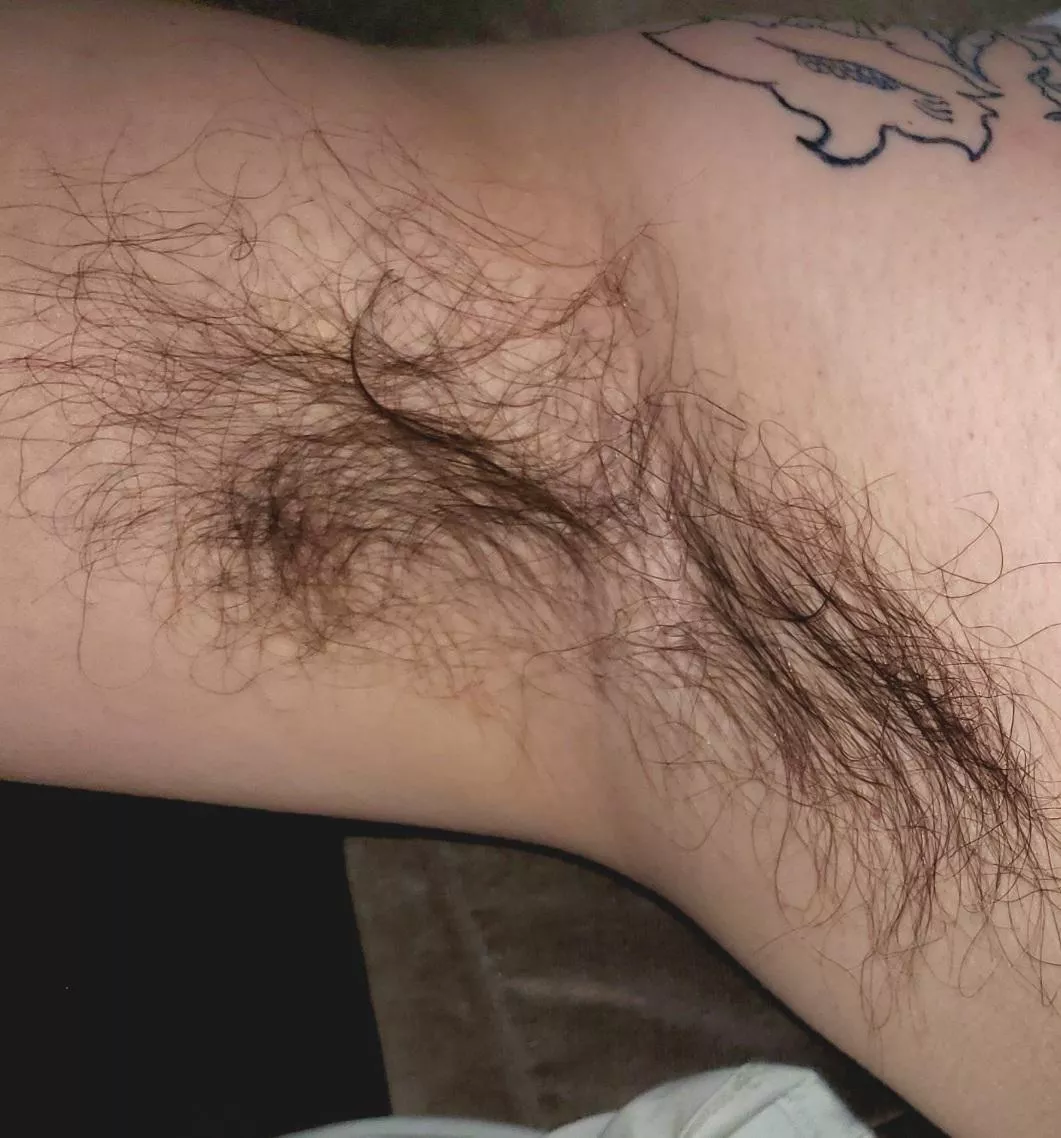 need a tongue and a scruffy face in there posted by 7inlicker