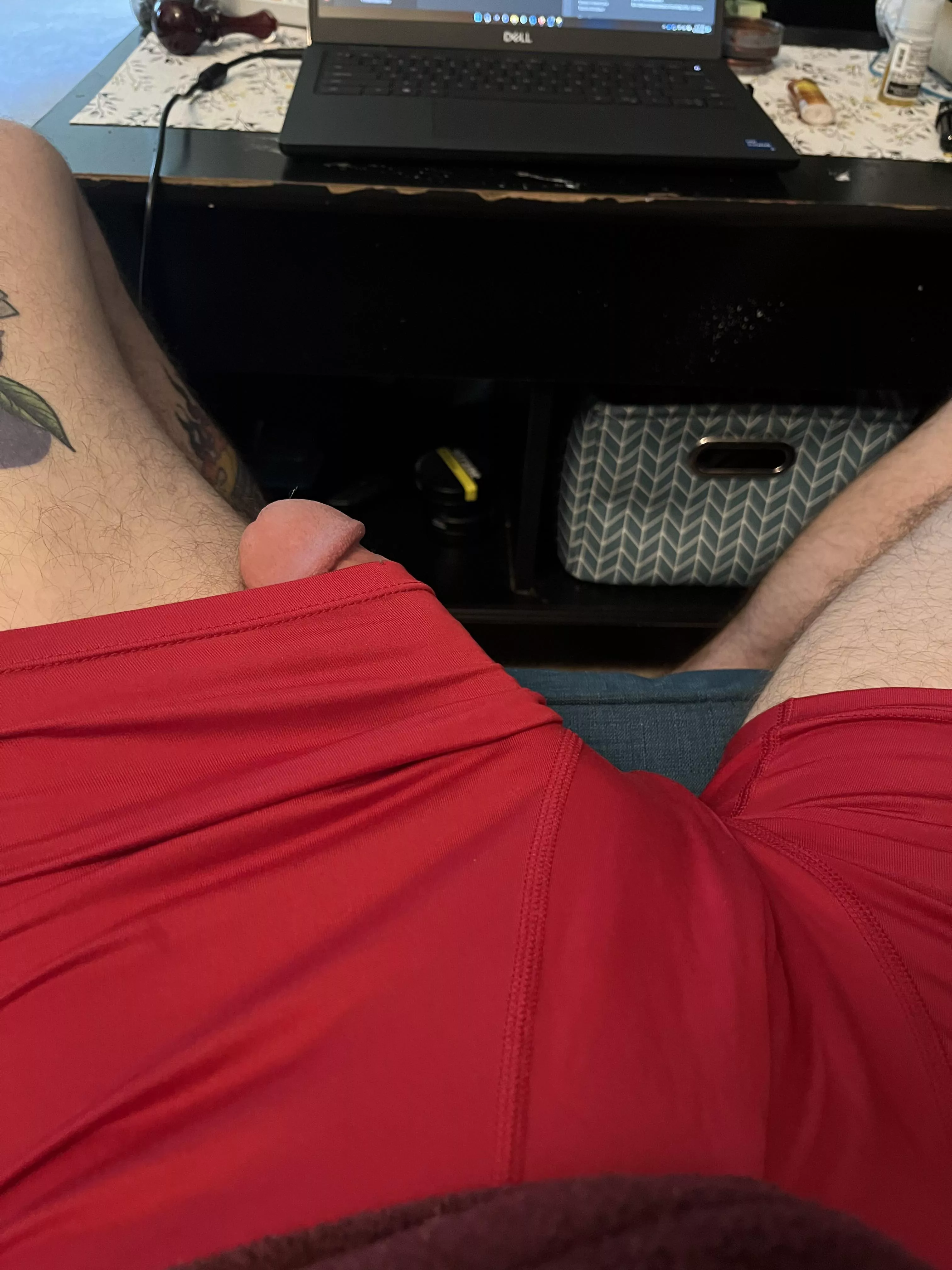 peeking out posted by perfectlyinmotion