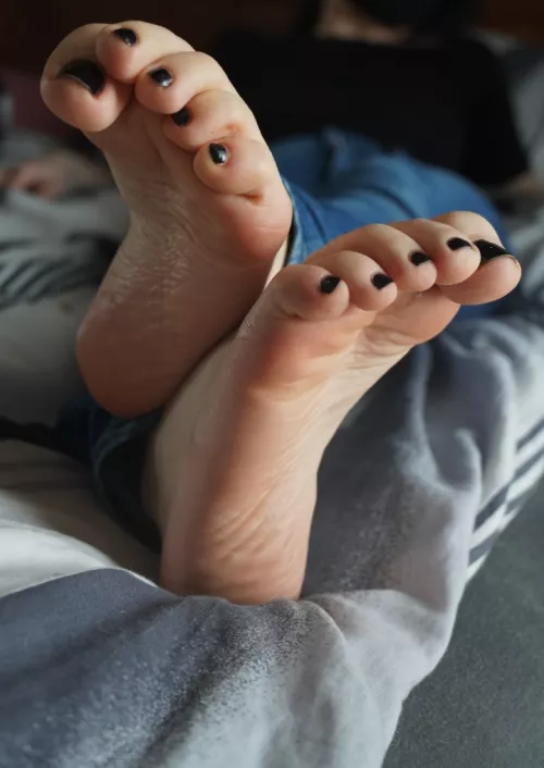 the morning sun hit them just right ☀️😁 by SylvieSunflower