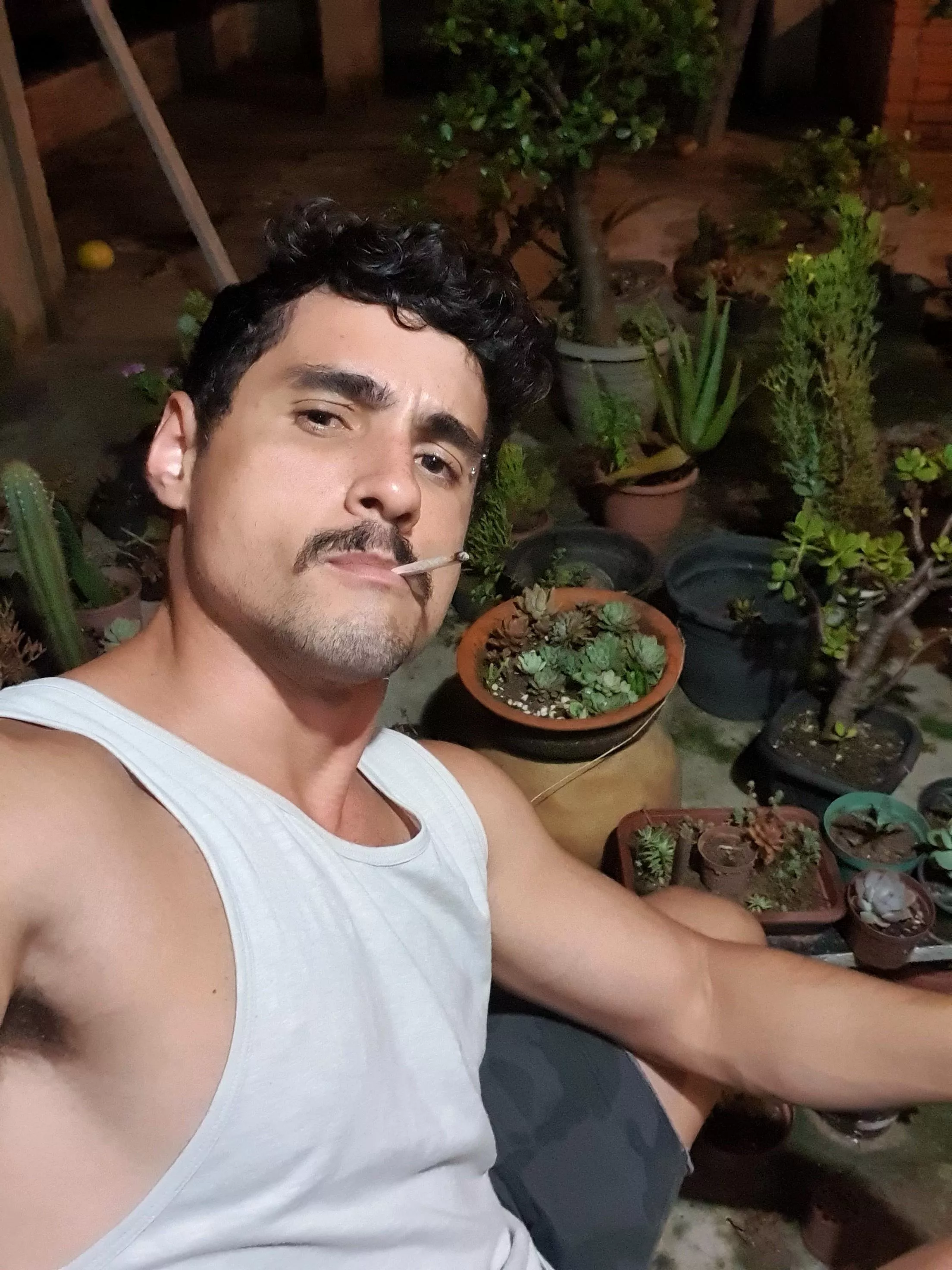 What you think about my new mustache? posted by juniorgallina