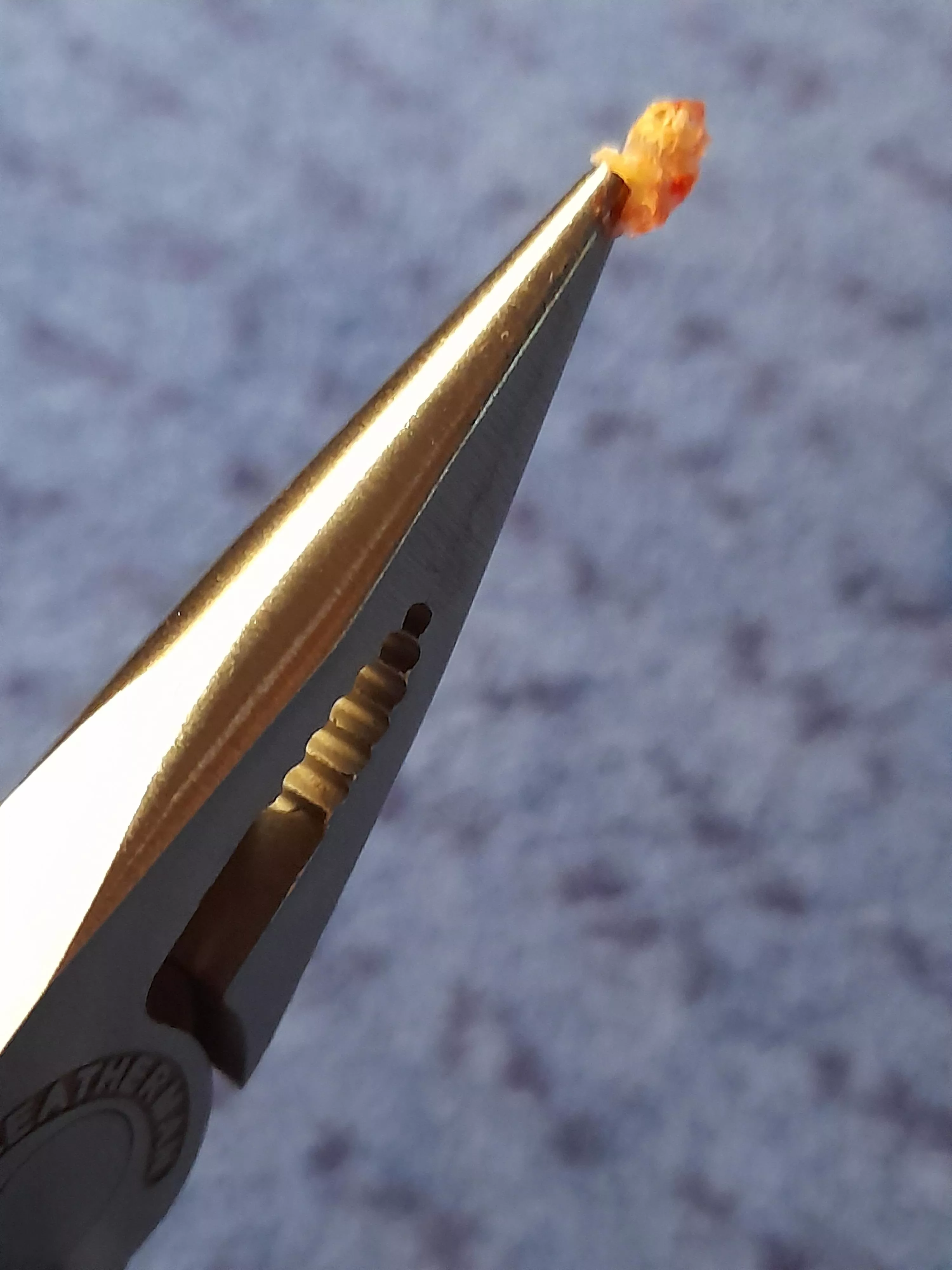 Yet another victory for the leatherman! posted by Br1ll