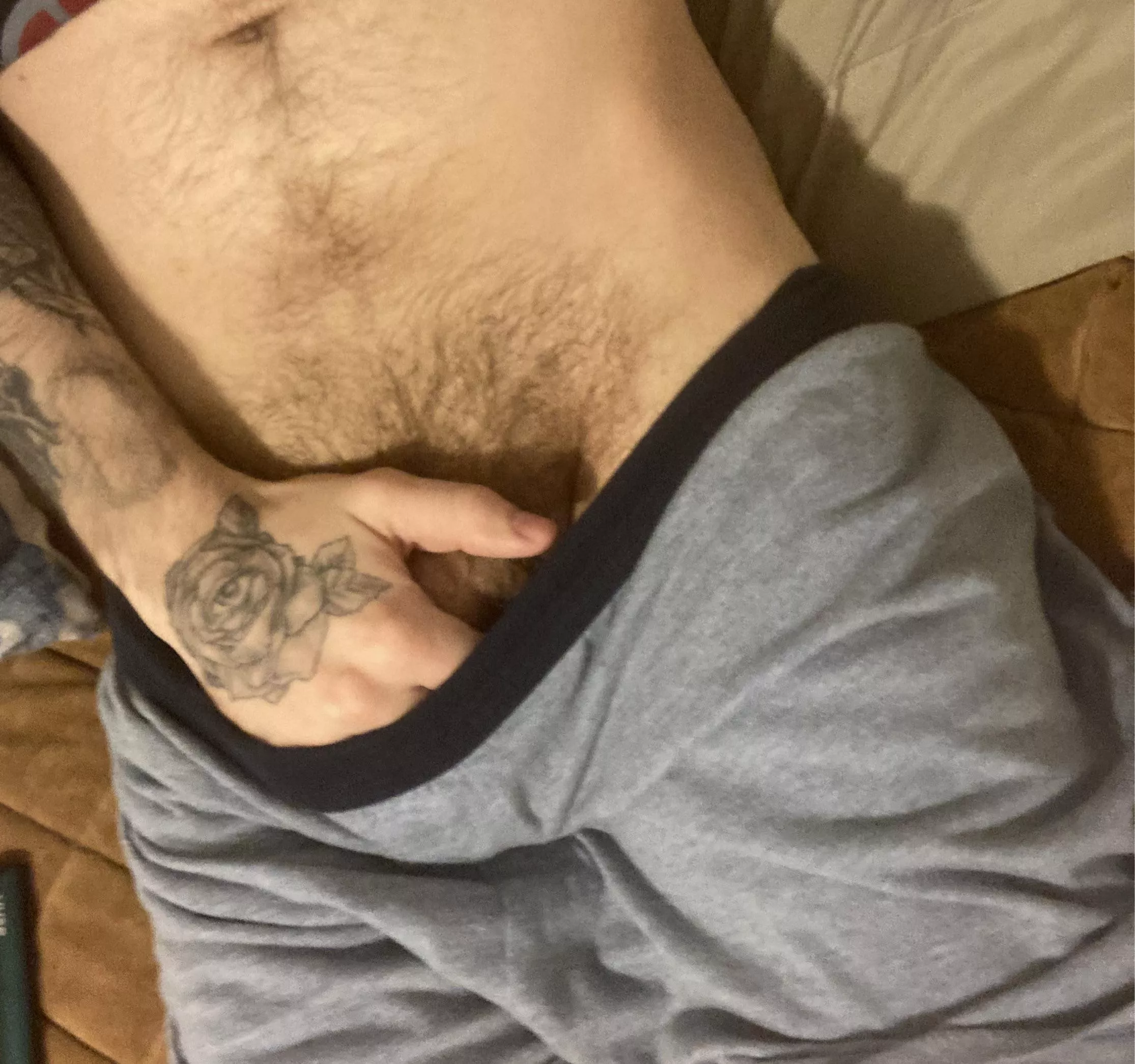 You like them ? posted by Hellbent_666999