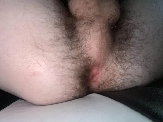 (18) by Shot-Veterinarian-30