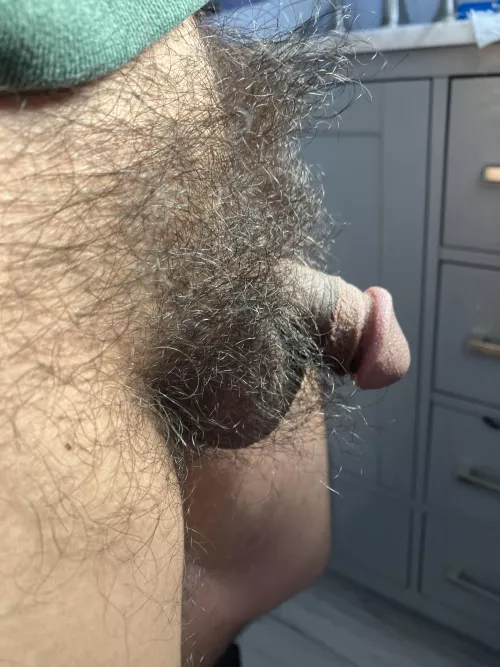 29M — I feel like no women like it this hairy. It sucks. by dfqqqwe13312225618