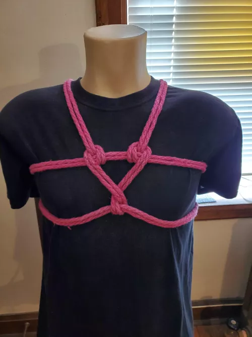 A quick Valentine's Day chest harness by EvanKeystone