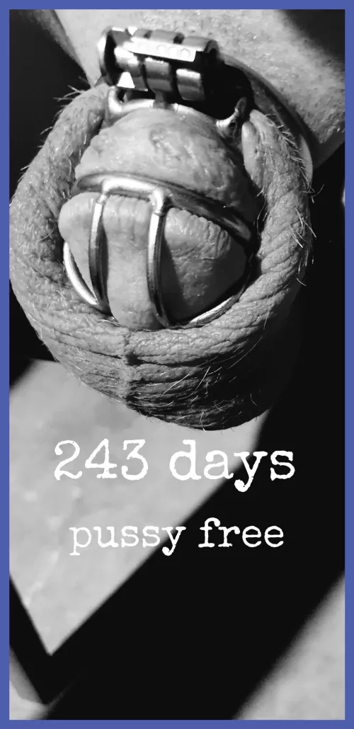 and counting. by shitsandgigssss