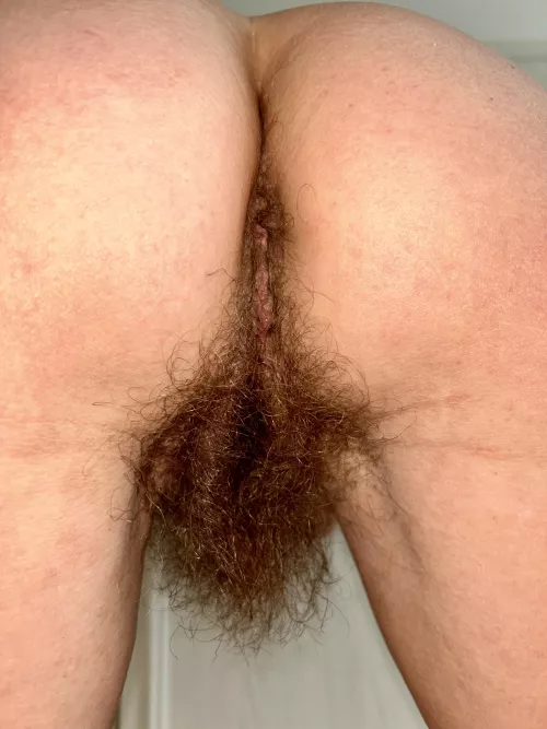 Back bush by hairybushsara