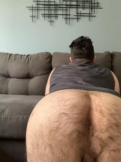 Dm me and comment about how you want to destroy my hairy ass 😈 by jordyxcx64