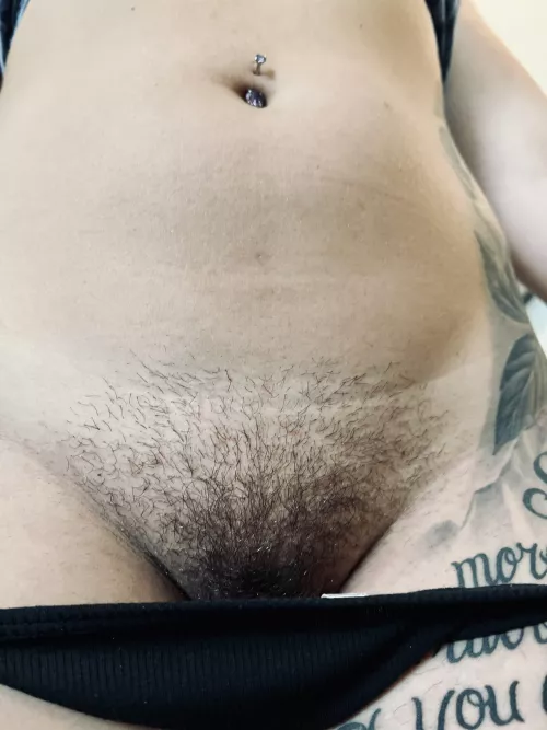 Do you think I can grow a big bush? 🤷🏻‍♀️ by Space_nerd66