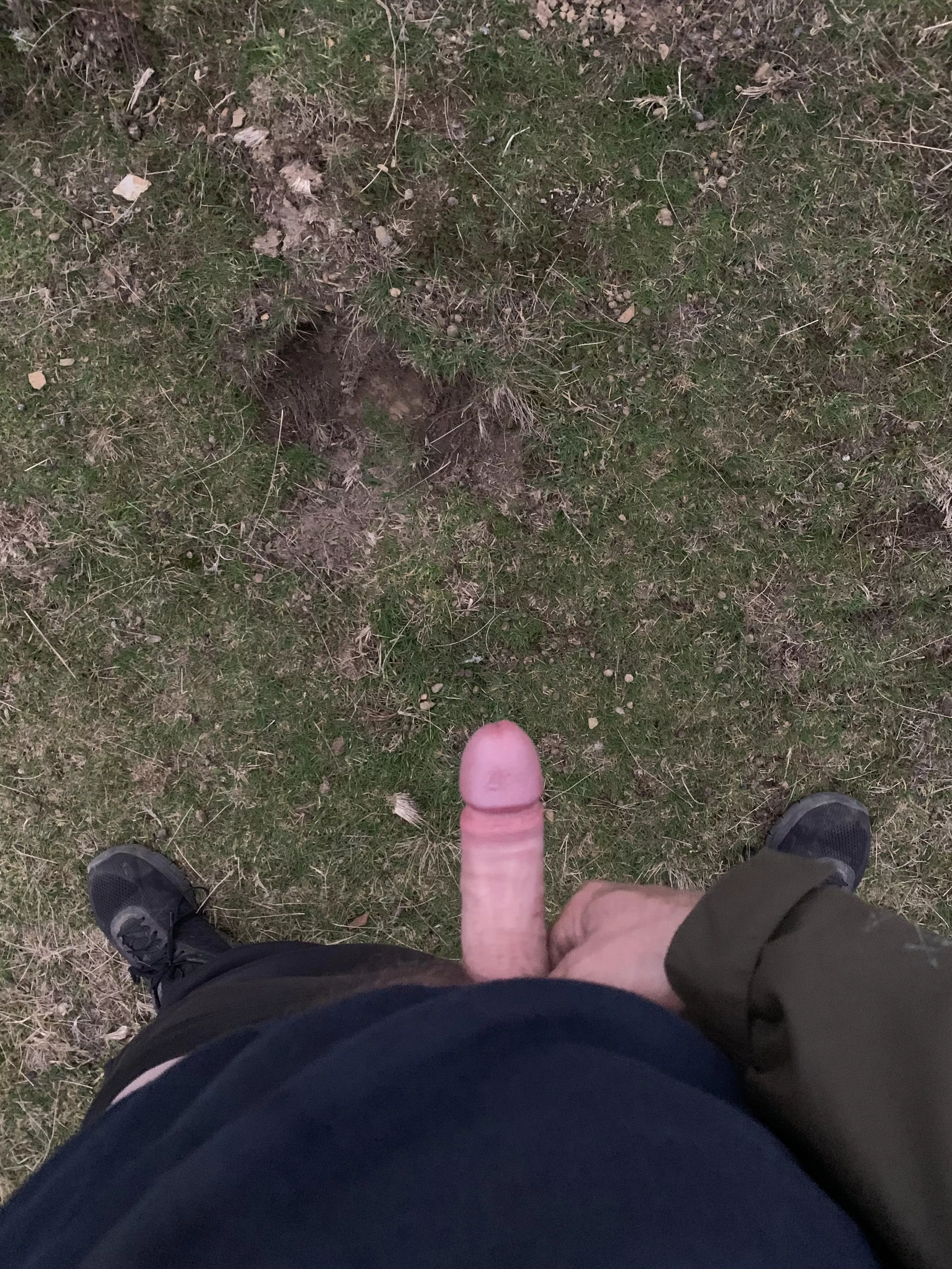 Evening dog walk! posted by Reallybored3