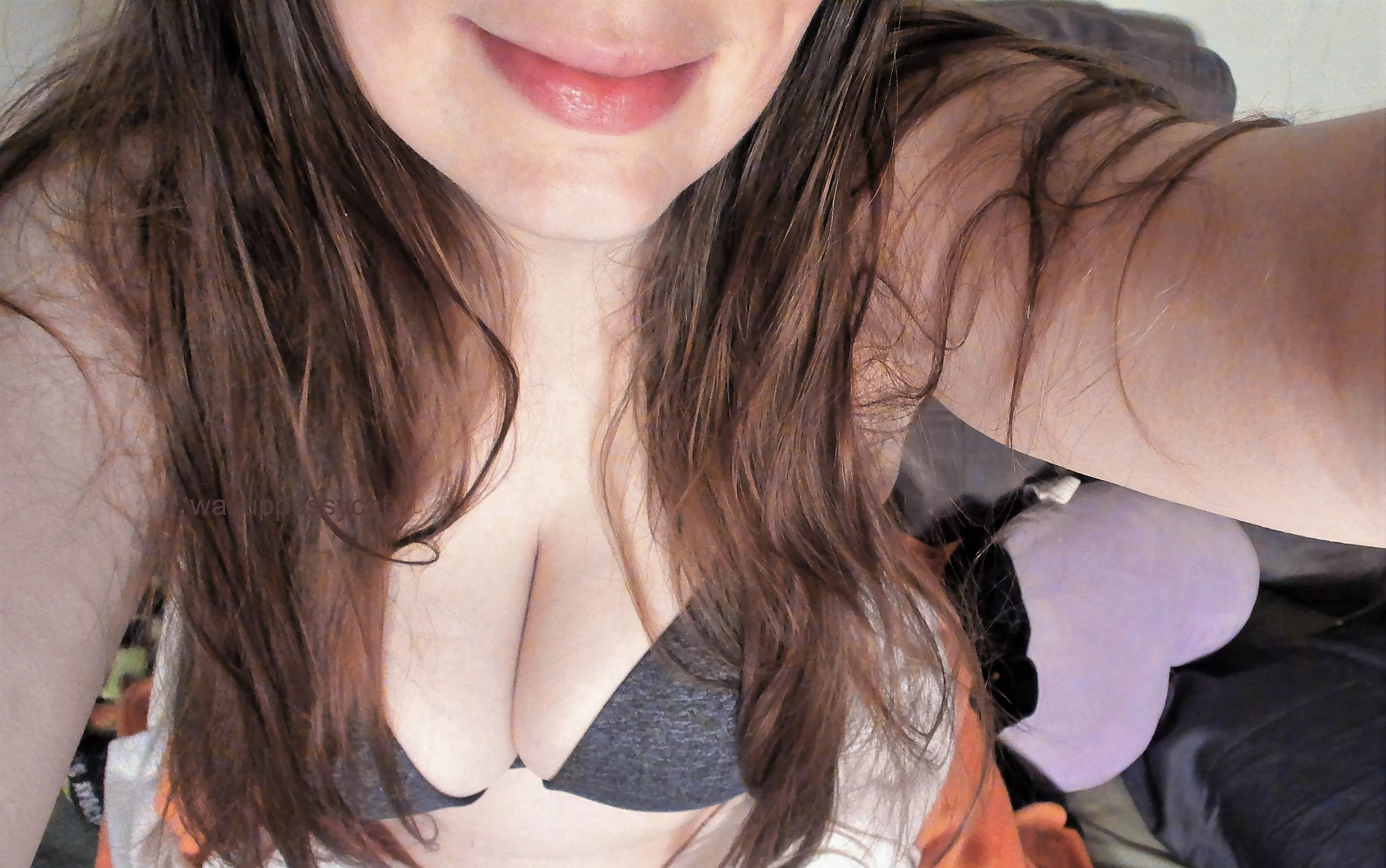 [f] Wheres my Sunday morning snuggle posted by wasuppussycat