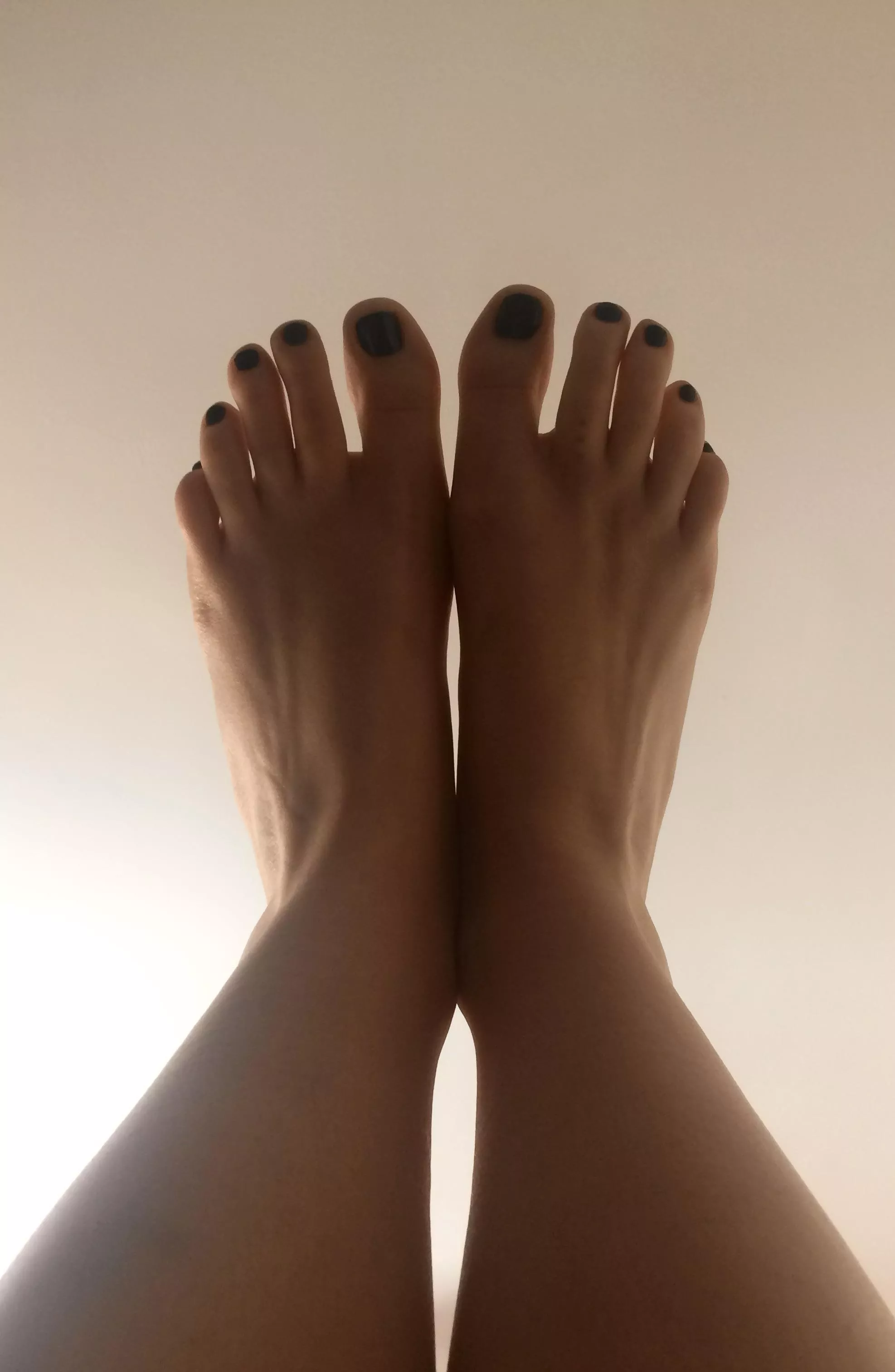 Feet. Do you like them? posted by Persephonism