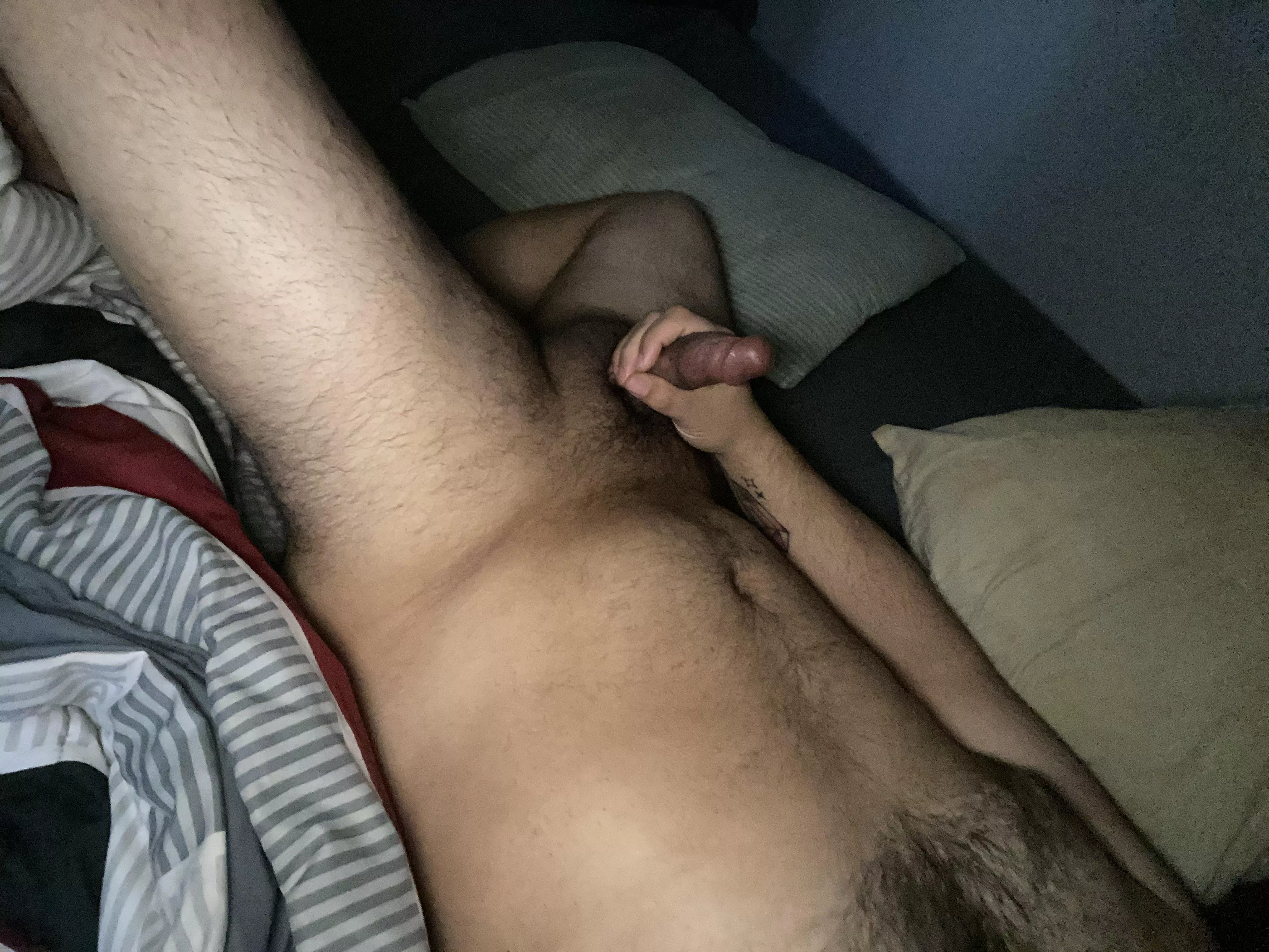 good morning! posted by secretrico