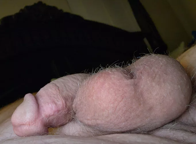 I need someone to wake Willie up! by AmandumVitam