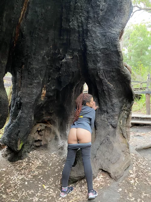 Just masturbating during a hike😈(f) by Bella-Fiore