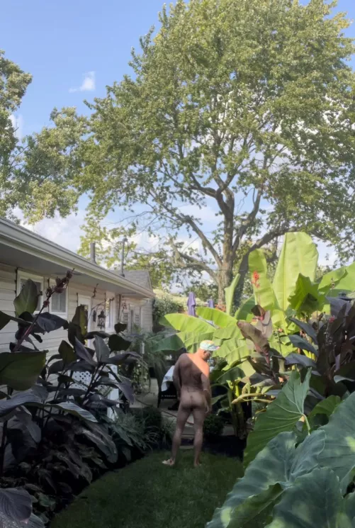 Missing my backyard paradise , summer can’t get here soon enough !! by Nudistcmh