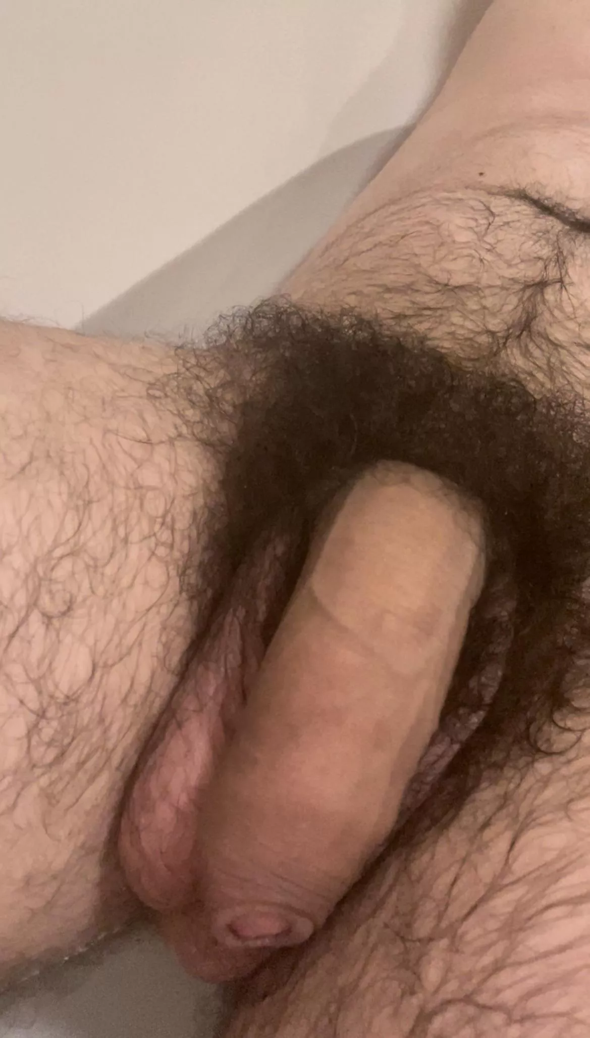 My bush has gotten so thick!😏🍆Dms open😈 posted by StraightHungAlpha