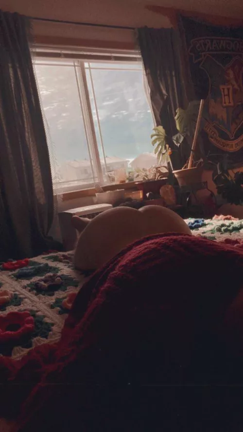 Show me who’s boss?😇 by Quiet-Detective701