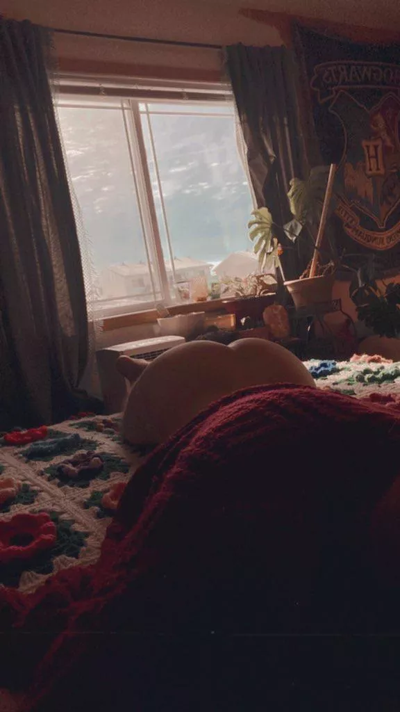 Show me who’s boss?😇 posted by Quiet-Detective701