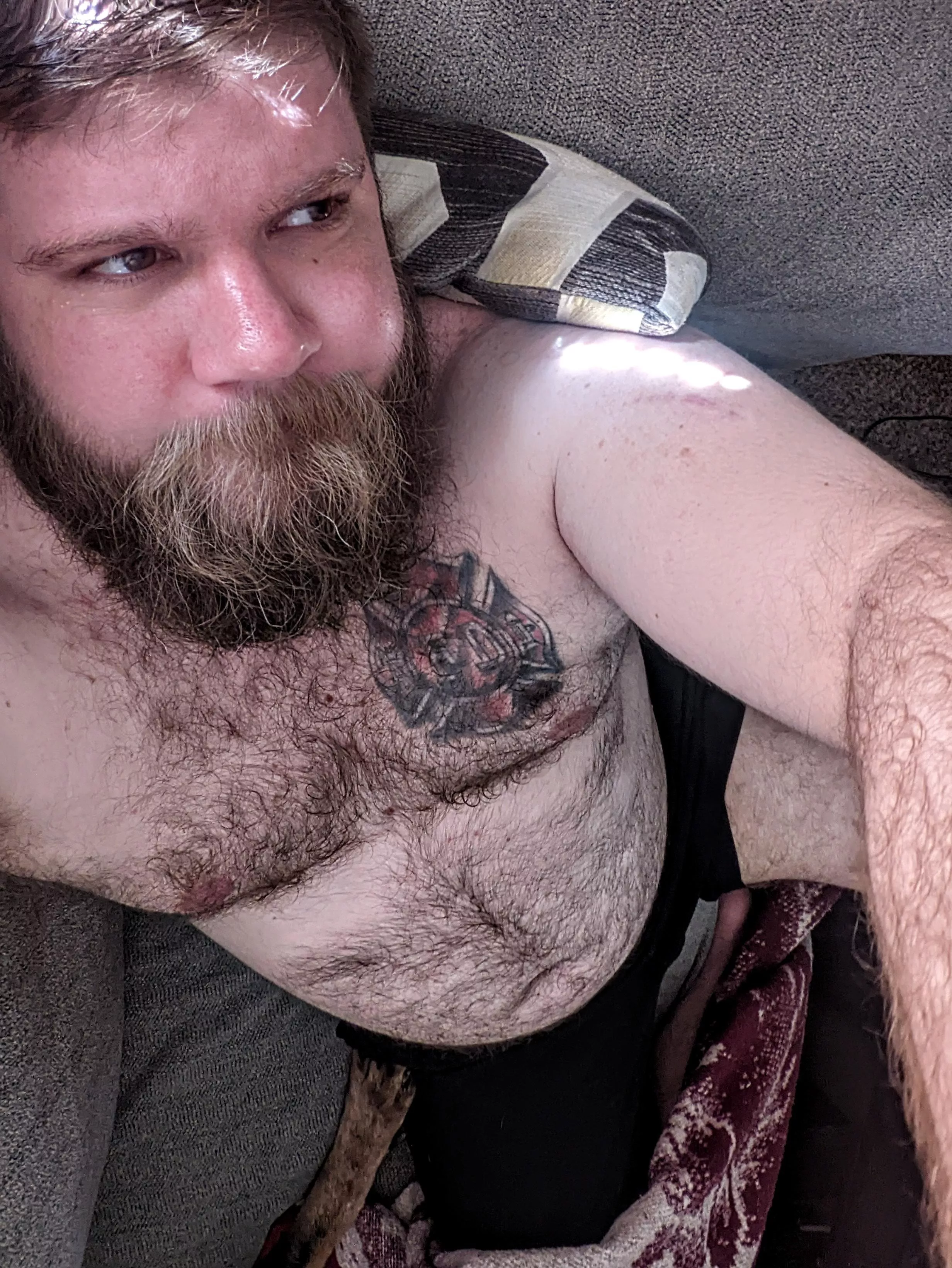 stroke my.....beard? 😈 posted by smokeybear911