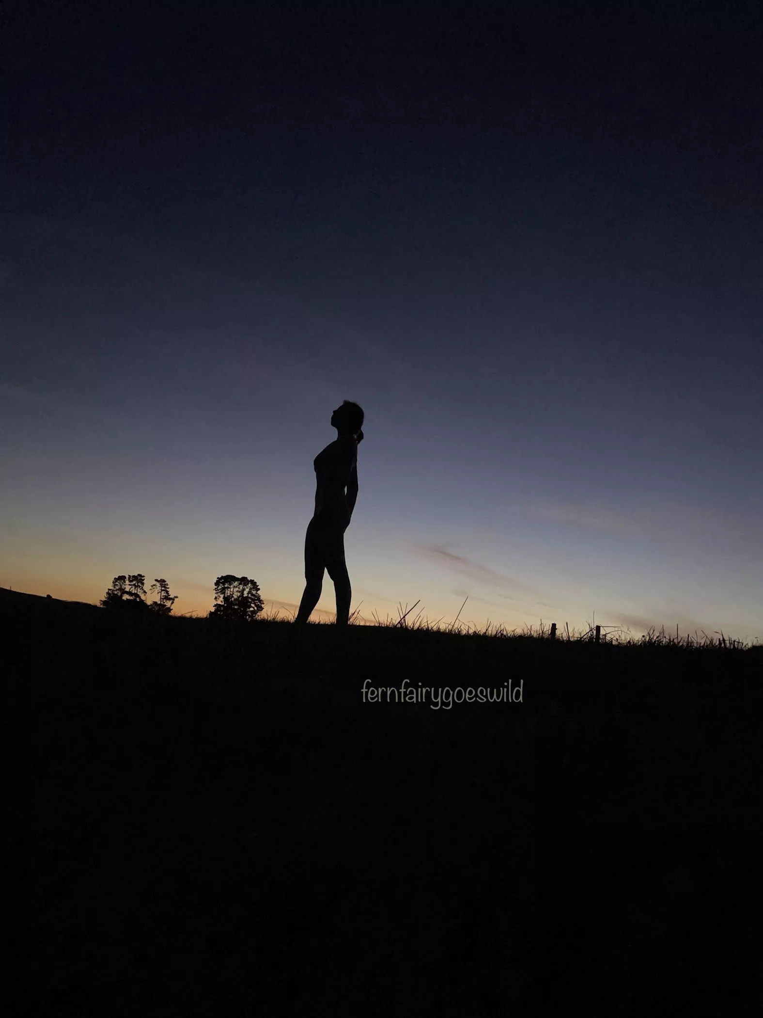 Sunset silhouette of nude woman posted by Fernfairygoeswild