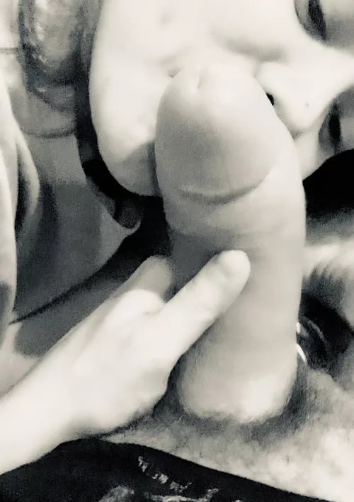 Too big to suck just kiss it by nohidingstyle