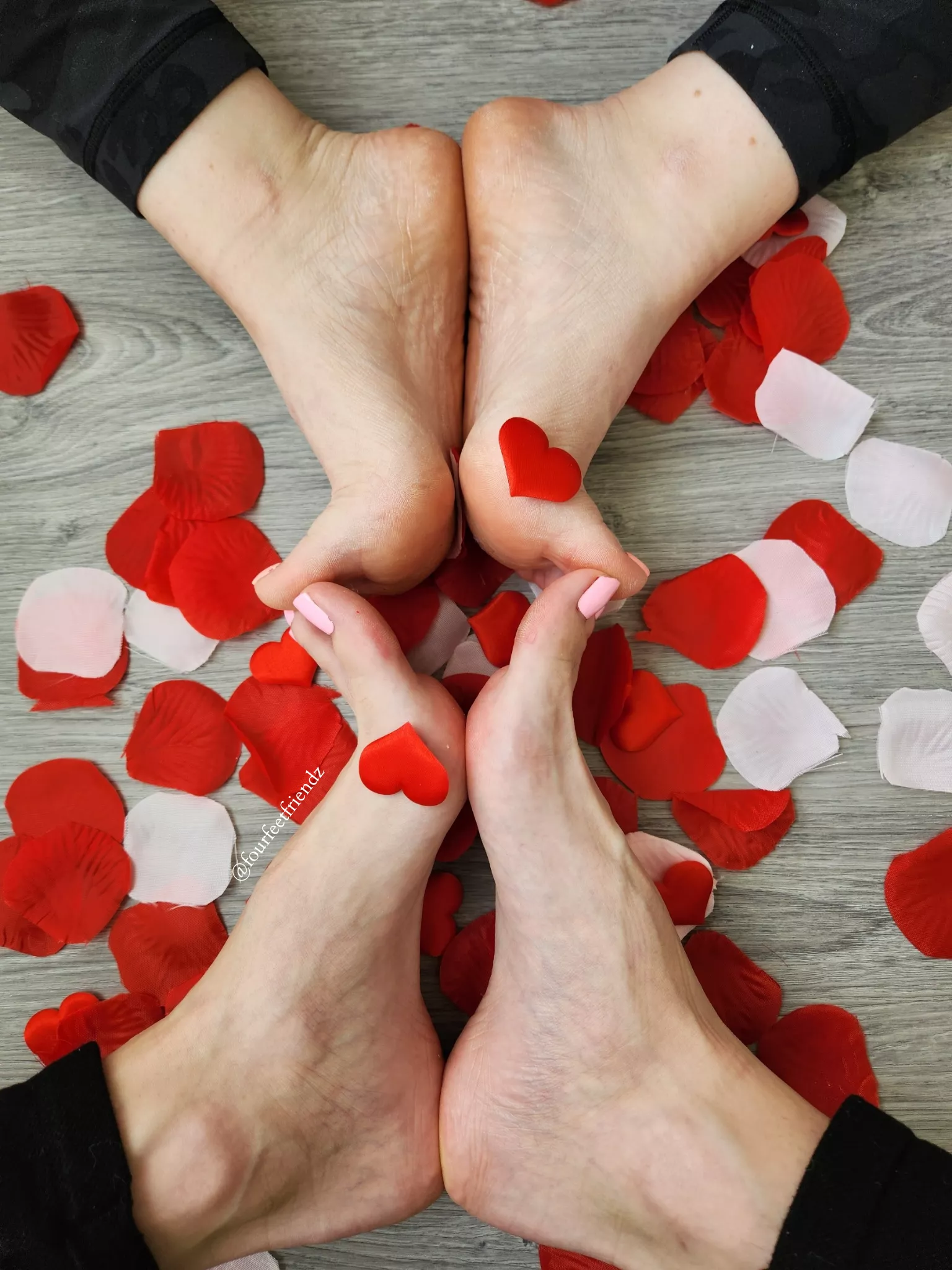 wanna be our Valentine? posted by fourfeetfriendz