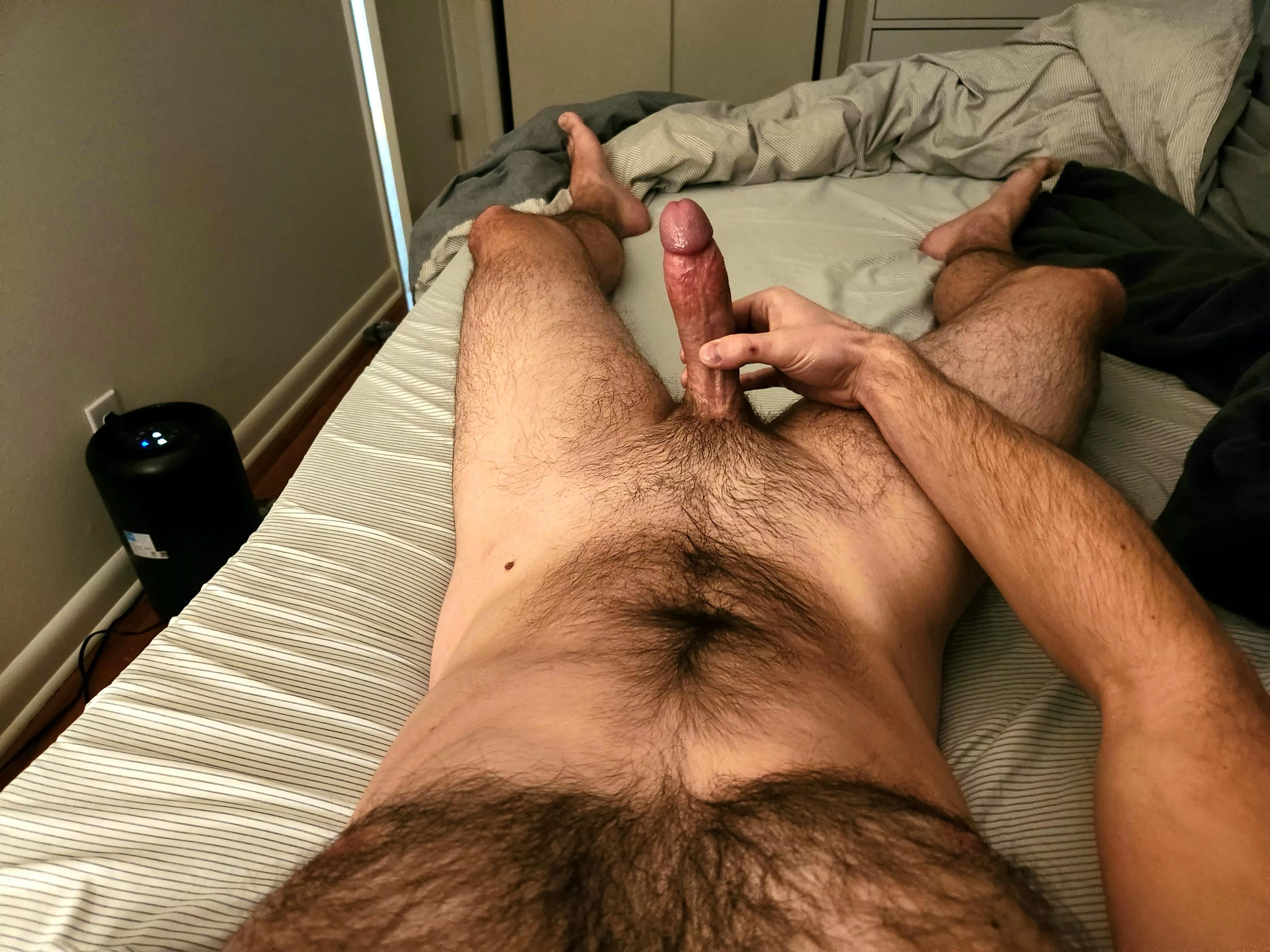 What a lazy Sunday looks like around here. posted by pmmeurpickupline