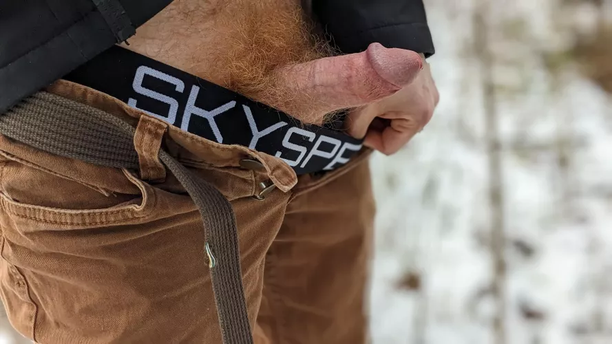 Winter bush by responsive-banana