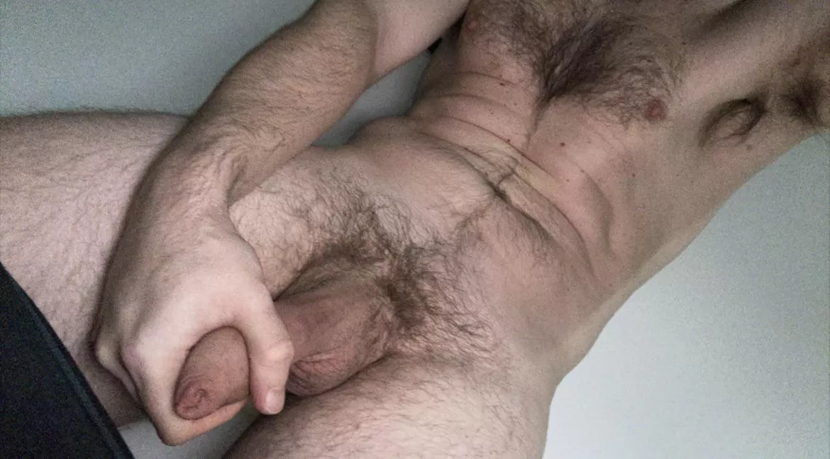 [40] Monday blues posted by Various-Iron