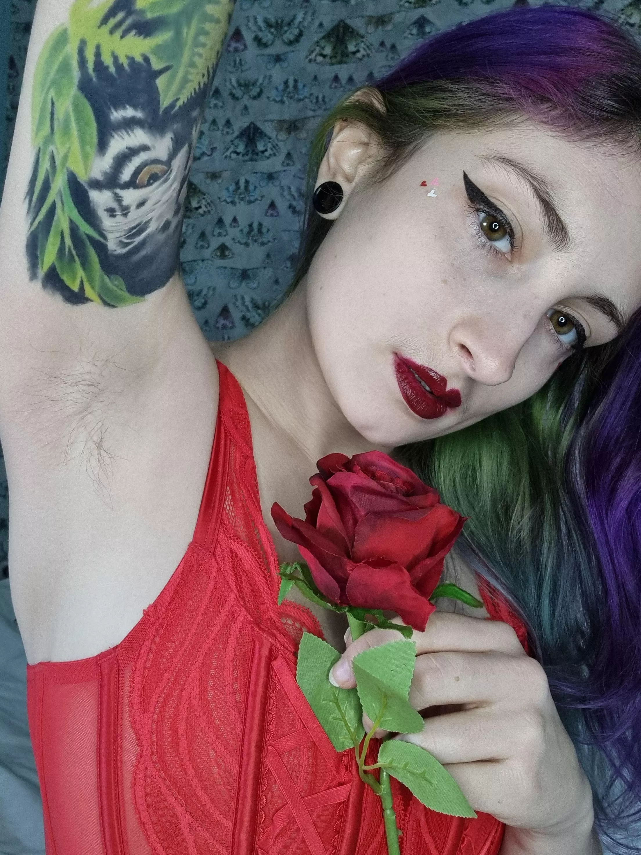 A little bit of fluff and a Valentine's rose for you posted by BratKingKit