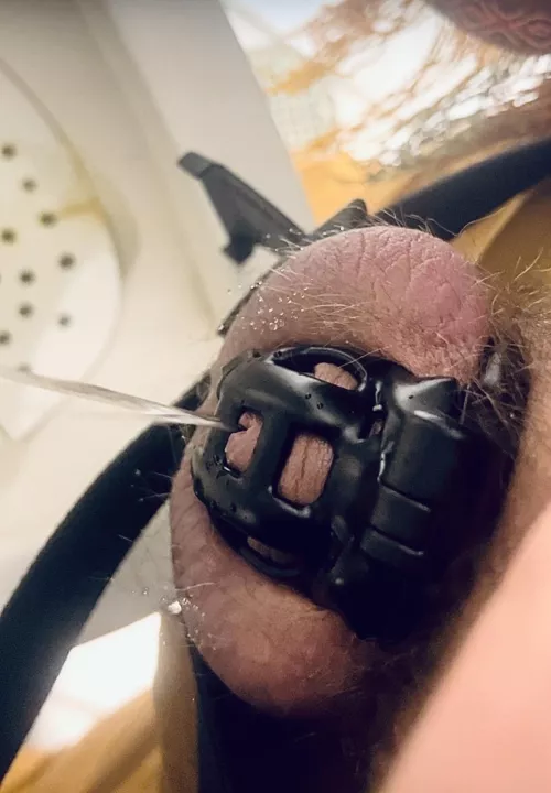 A little but of back splash on my cage by Chewedupbuttrflydick