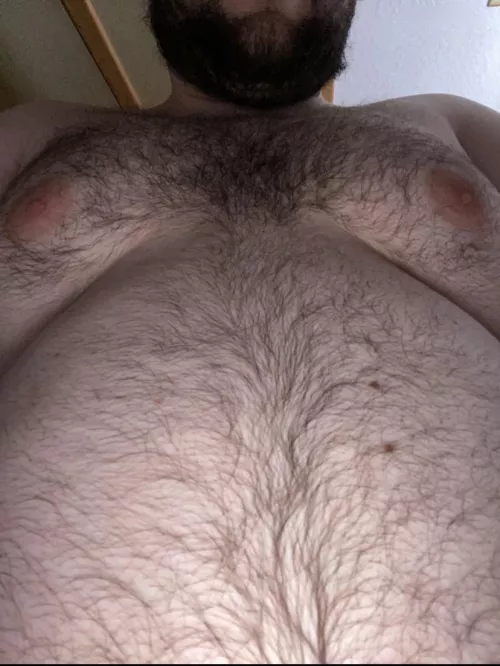 🐻 boobs by PuppyMack